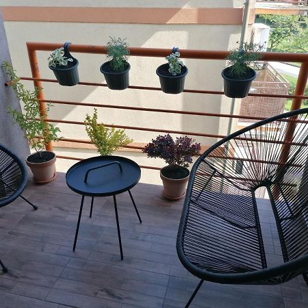 Koko Apartman Врнячка-Баня Экстерьер фото
