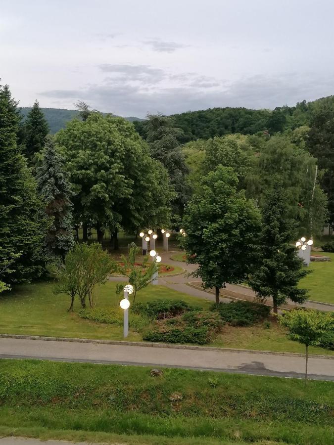 Koko Apartman Врнячка-Баня Экстерьер фото