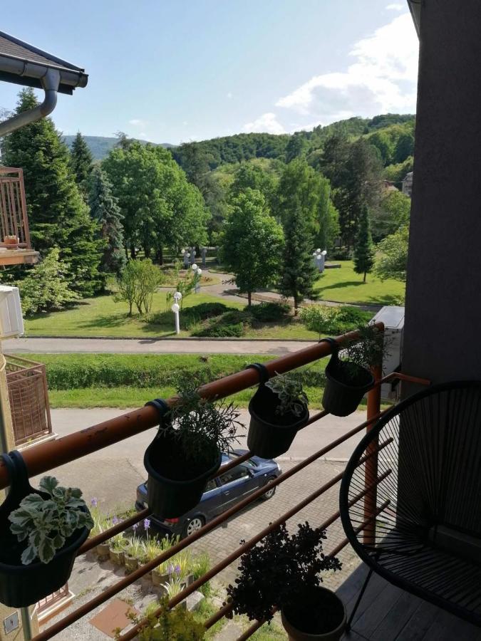 Koko Apartman Врнячка-Баня Экстерьер фото