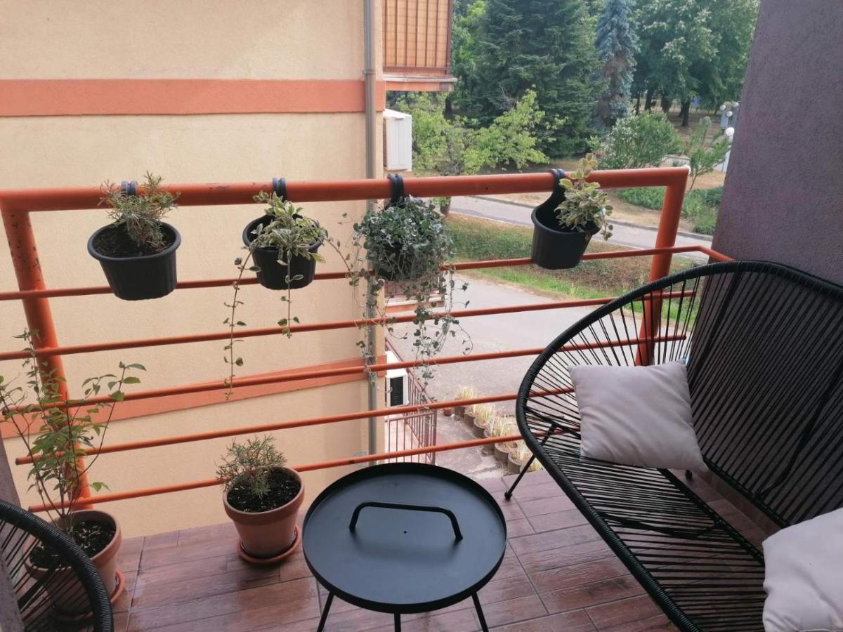 Koko Apartman Врнячка-Баня Экстерьер фото