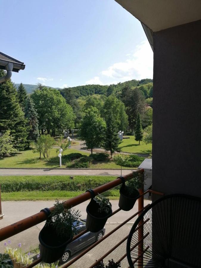 Koko Apartman Врнячка-Баня Экстерьер фото