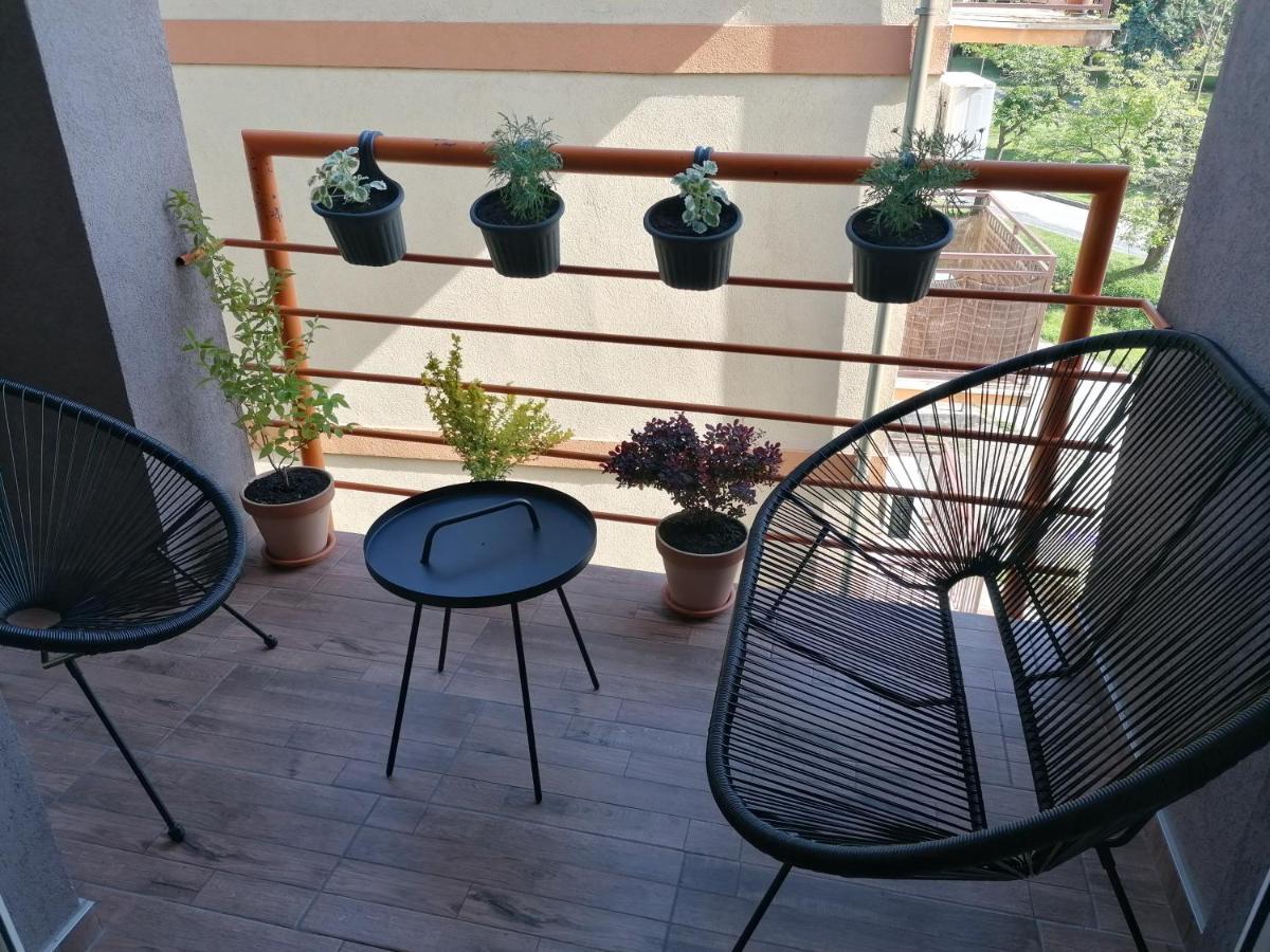 Koko Apartman Врнячка-Баня Экстерьер фото